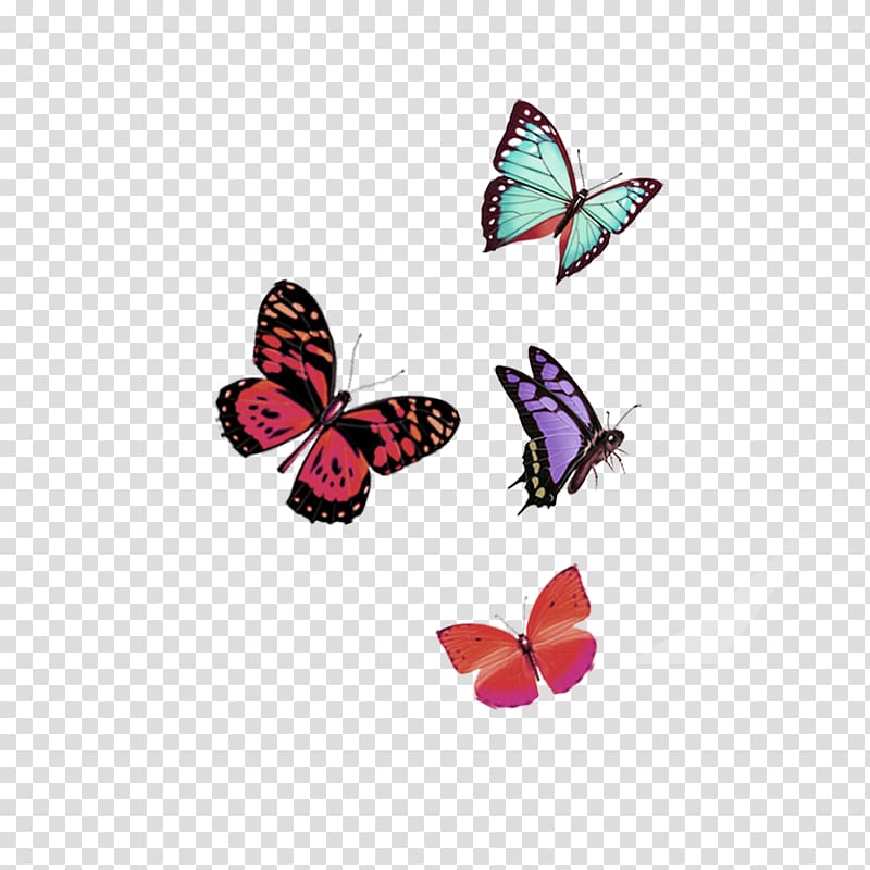 Butterfly Computer file, Red Dream Butterfly Floating Material transparent background PNG clipart