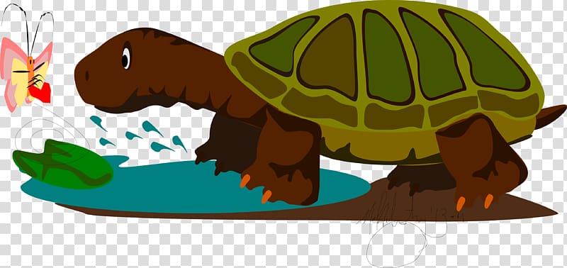 Tortoise Terrestrial animal , nella transparent background PNG clipart
