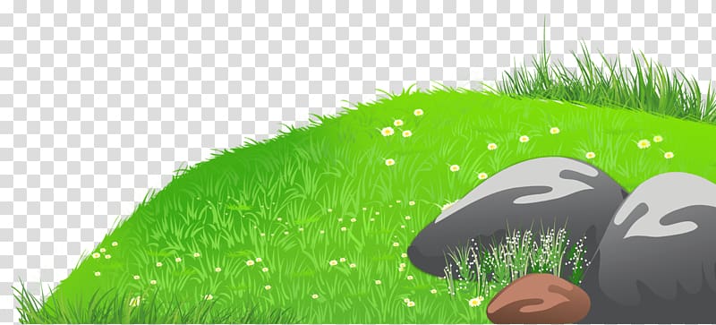 two gray stones on green grass illustration, , Grass with Stones and Daisies transparent background PNG clipart