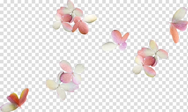 Petal Flower , bowknot transparent background PNG clipart