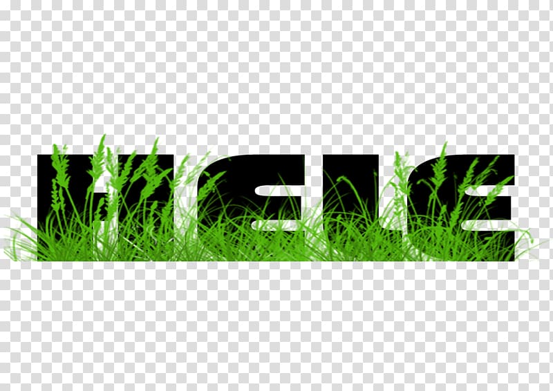 Lawn Meadow Green Graphics Grasses, hele transparent background PNG clipart
