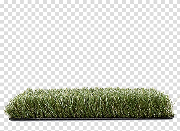 Artificial turf Lawn Carpet Patio Polypropylene, diamond pile transparent background PNG clipart