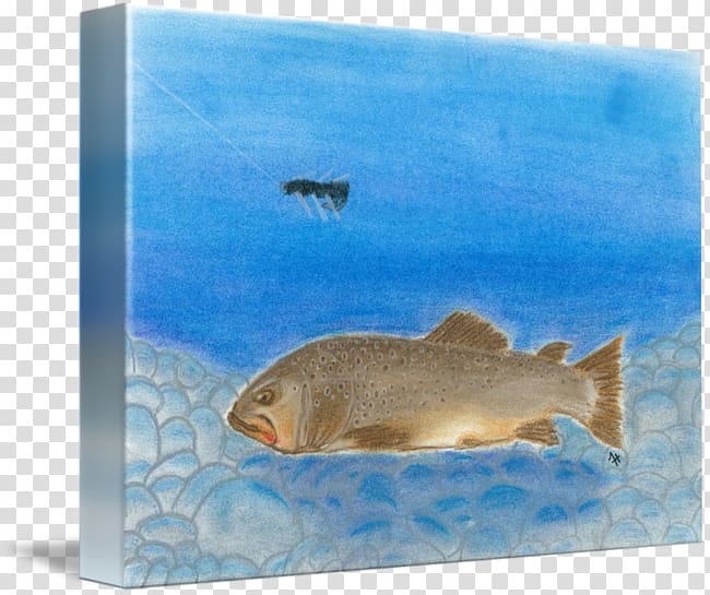 Marine biology Ecosystem Marine mammal Fauna, others transparent background PNG clipart