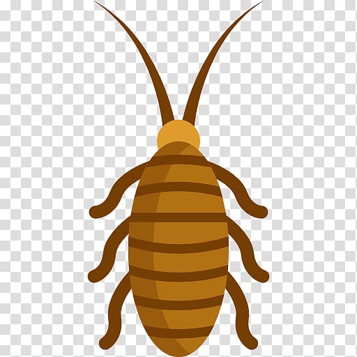 Bee Cockroach in phone Insect Computer Icons, bee transparent background PNG clipart