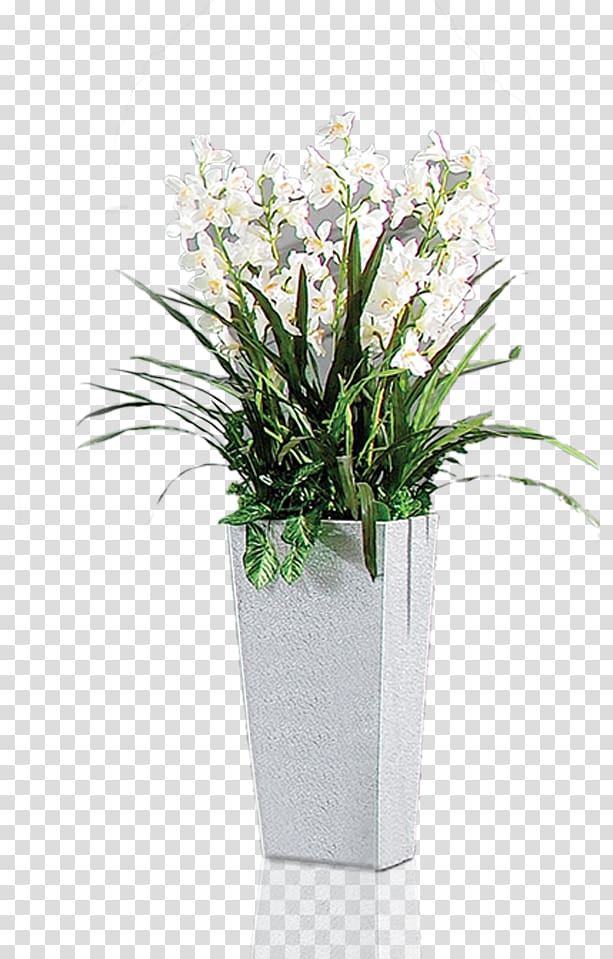 potted plants transparent background PNG clipart