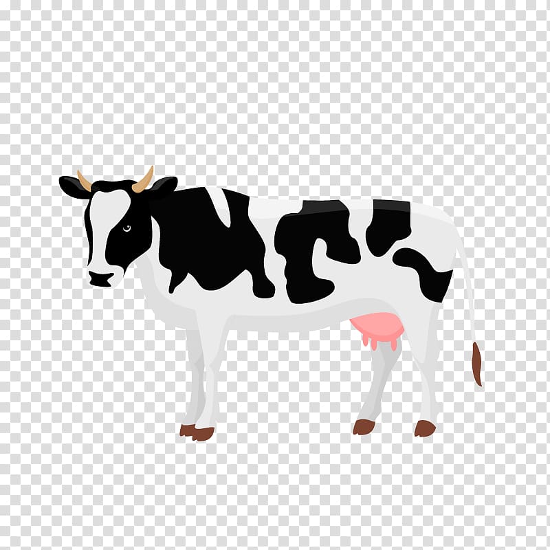 black and white dairy cow illustration, Dairy cattle Automatic milking Illustration, cow transparent background PNG clipart