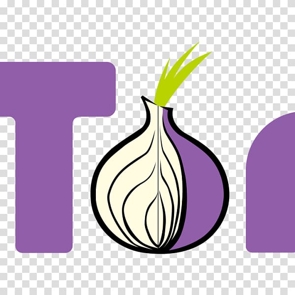 browser tor onion гидра