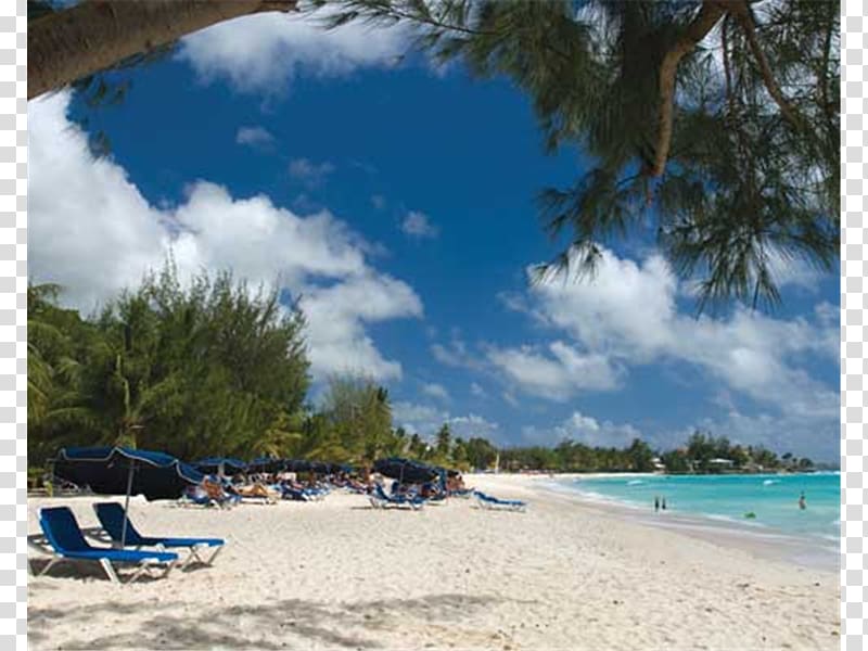Divi Southwinds Beach Resort Paynes Bay, Barbados Hotel, beach transparent background PNG clipart