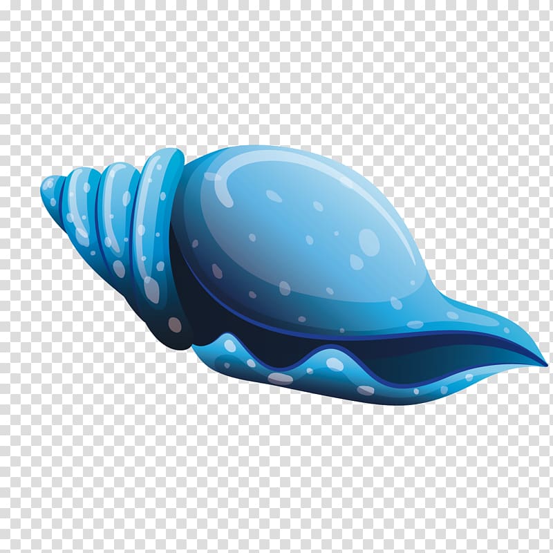 Seashell Sea snail, Conch transparent background PNG clipart