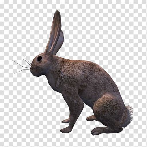 Domestic rabbit Hare OpenGameArt.org Low poly, rabbit transparent background PNG clipart
