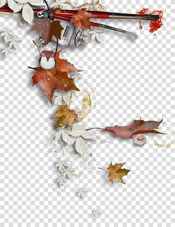 Autumn , autumn transparent background PNG clipart