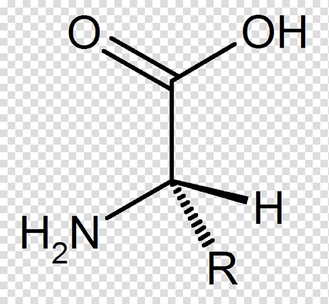 Carboxylic acid p-Toluic acid Benzoic acid Phosphoric acid, amino acid transparent background PNG clipart