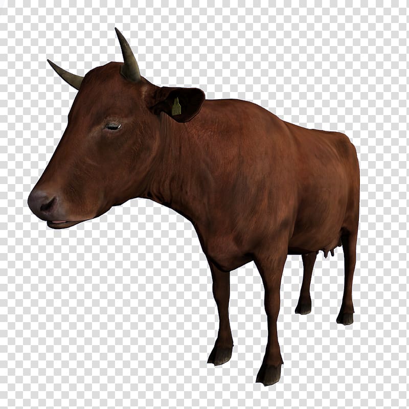 Dairy cattle DayZ Calf Ox, others transparent background PNG clipart