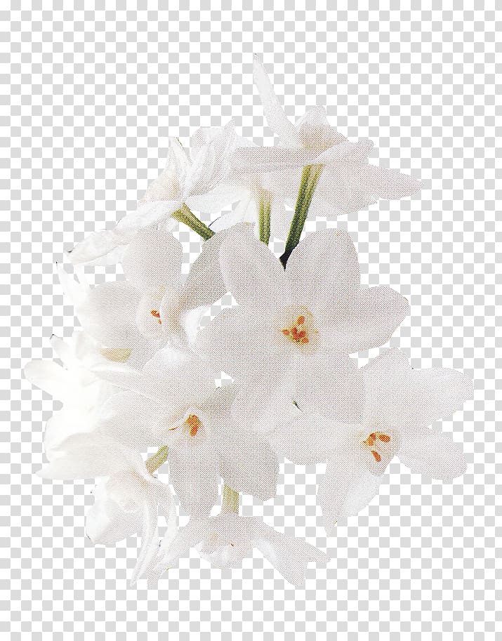 white daffodils illustration, Floral design White Flower, Bouquet of flowers material,White flowers transparent background PNG clipart