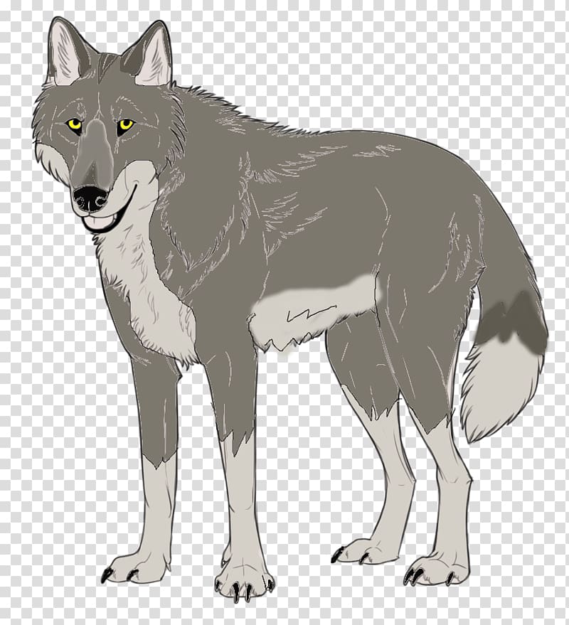Saarloos wolfdog Czechoslovakian Wolfdog Coyote Gray wolf Red wolf, New Entry transparent background PNG clipart