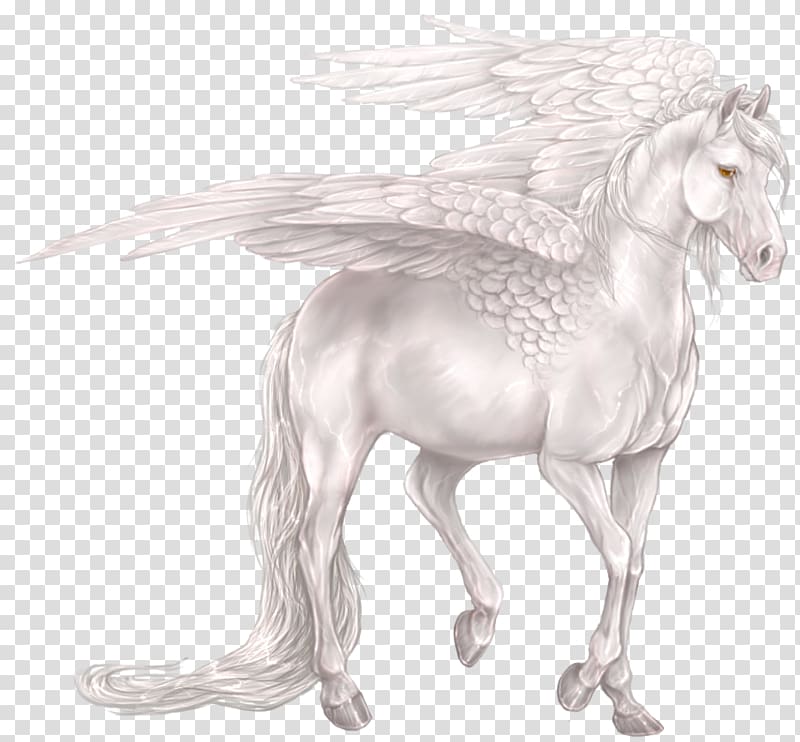 Pegasus Unicorn Horse Centaur Legendary creature, white unicorn transparent background PNG clipart