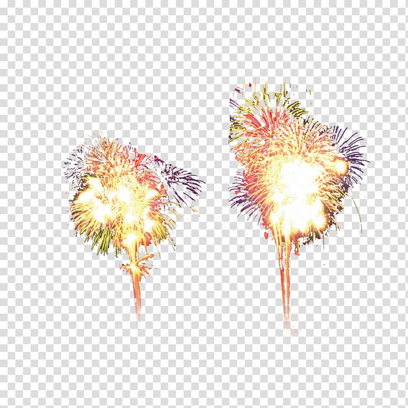 Fireworks Chinoiserie Google s, Fireworks transparent background PNG clipart