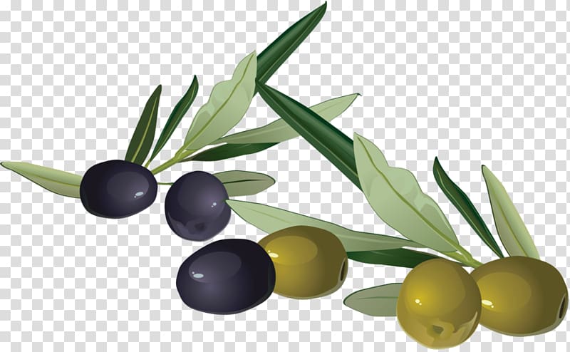 Olive oil Portable Network Graphics Mediterranean cuisine, olive transparent background PNG clipart