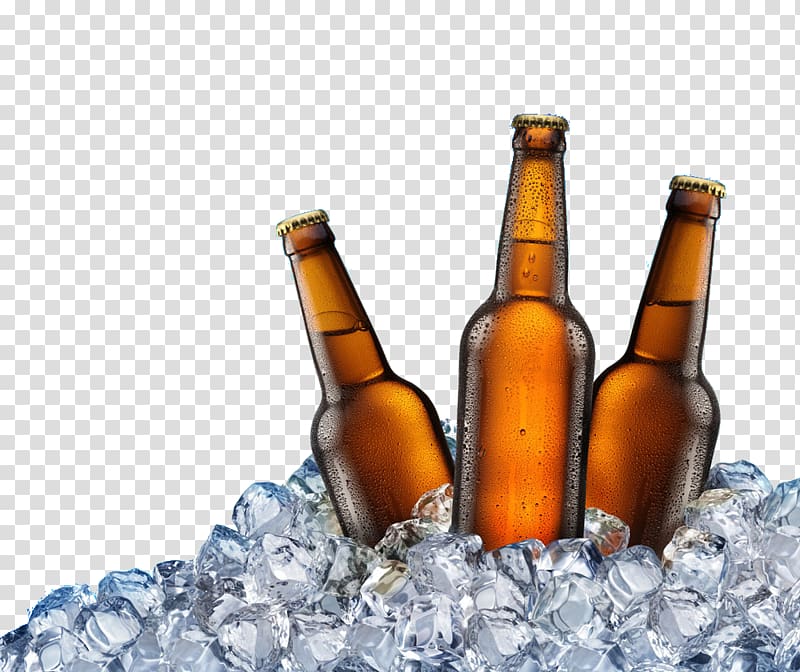 beer transparent background PNG clipart