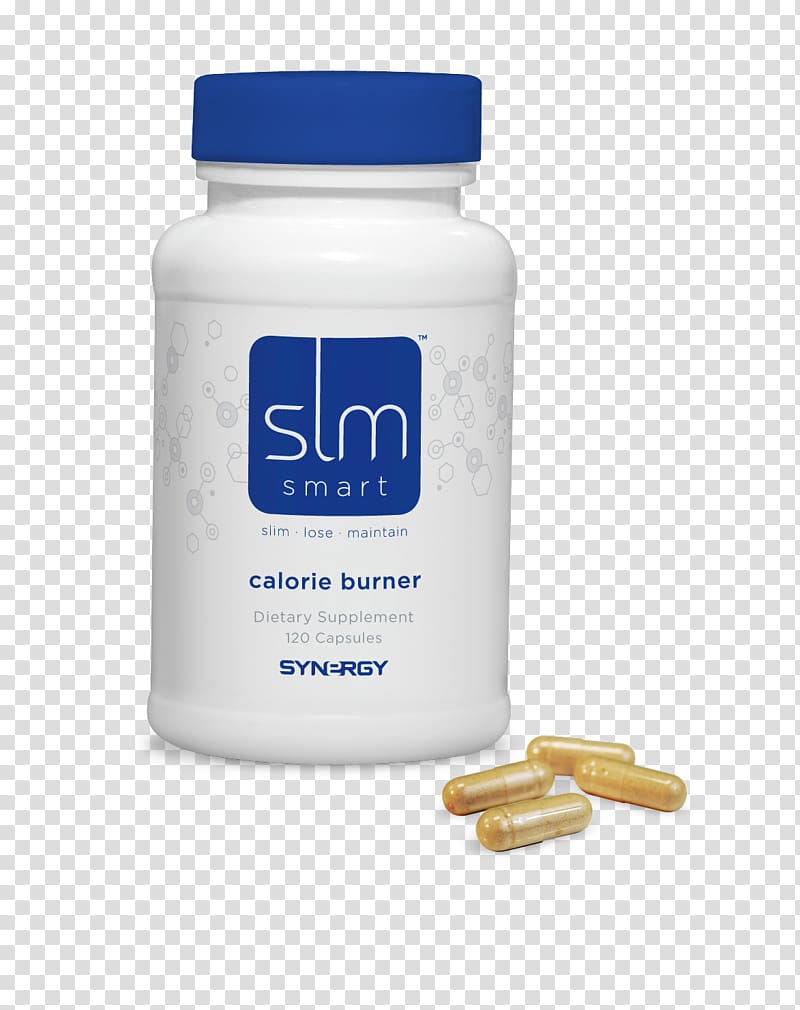 Calorie Weight loss Synergy Thermogenics Price, others transparent background PNG clipart