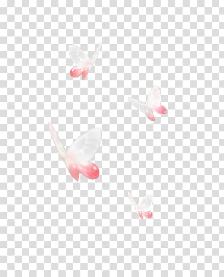 Butterfly White Pink Icon, butterfly transparent background PNG clipart