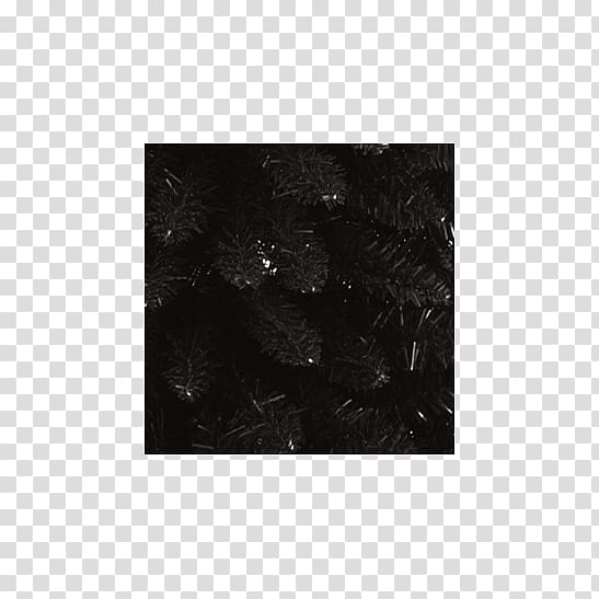 Black M, tree pencil transparent background PNG clipart