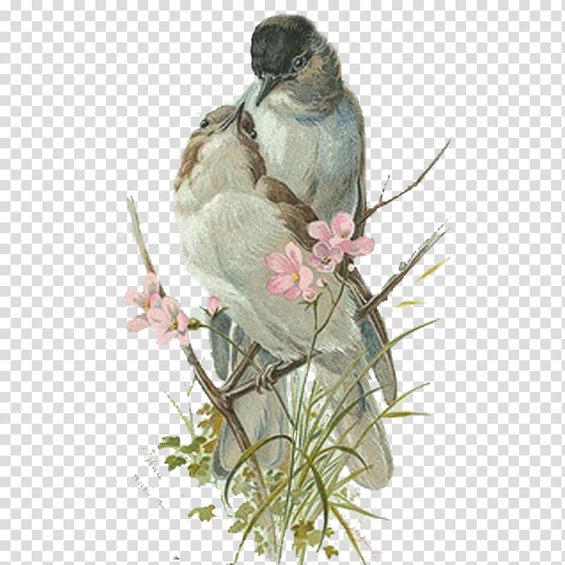 Bird Paper Swallow, Bird transparent background PNG clipart