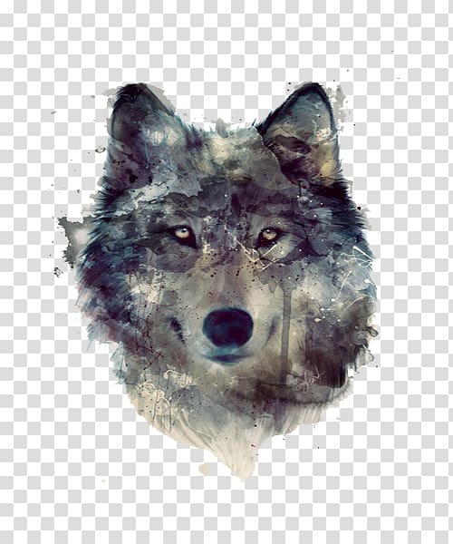 wolf illustration, Dog Lion Pack, Gray watercolor wolf head transparent background PNG clipart