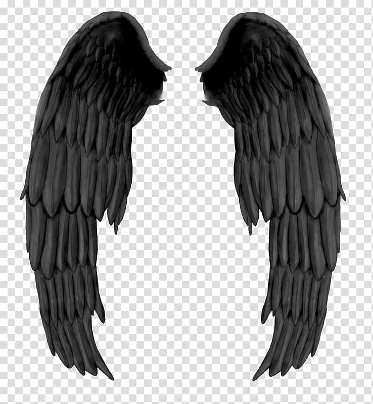black wings , Wing Devil Black and white, Black evil wings transparent background PNG clipart