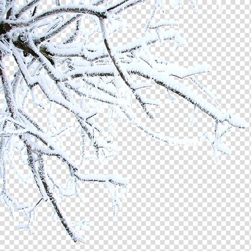 Twig Winter Daxue , Free snow hanging branches to pull material transparent background PNG clipart