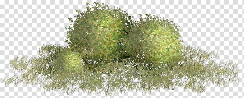 Green , Green grass material storm transparent background PNG clipart