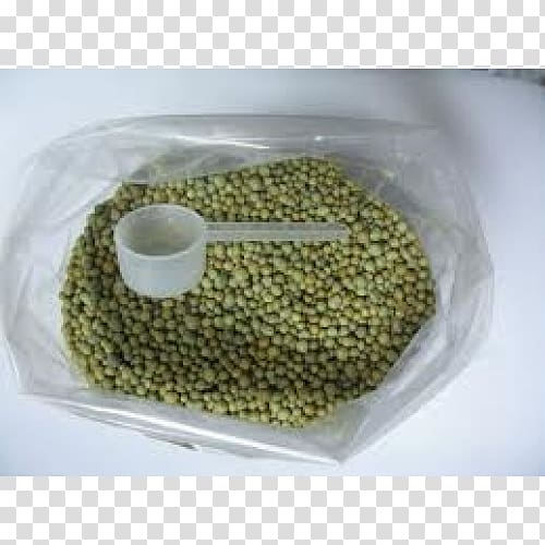 Fertilisers Nutrient Controlled-release fertiliser Adubação Houseplant, Common Lilly Pilly transparent background PNG clipart