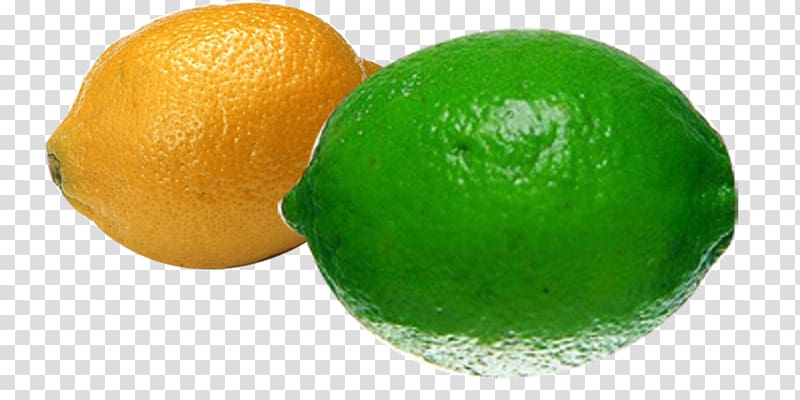 Persian lime Lemon Key lime Tangelo, Lemon n transparent background PNG clipart