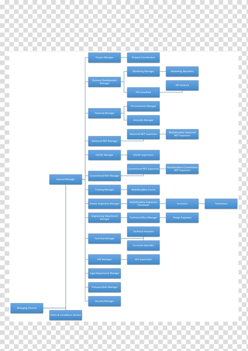 Organizational chart Diagram Organizational structure Smouha, organization chart transparent background PNG clipart