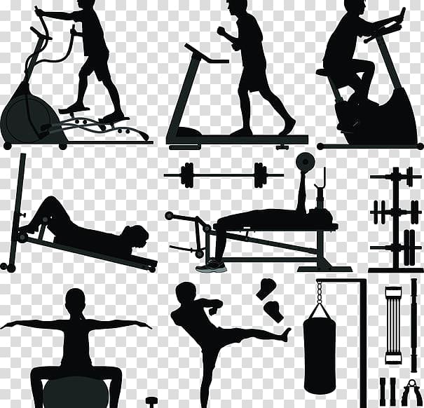 person exercising illustration, Physical exercise Weight training Fitness Centre Olympic weightlifting Bodyweight exercise, Fitness transparent background PNG clipart