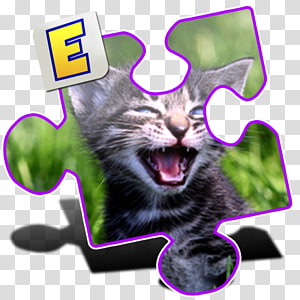 Whiskers Cat Paw, Cat transparent background PNG clipart thumbnail