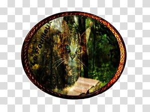 Whiskers Cat Desktop Computer, Cat transparent background PNG clipart thumbnail