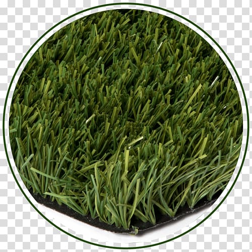 Romeritos Gyokuro Commodity, Metro Synthetic Turf Perth transparent background PNG clipart