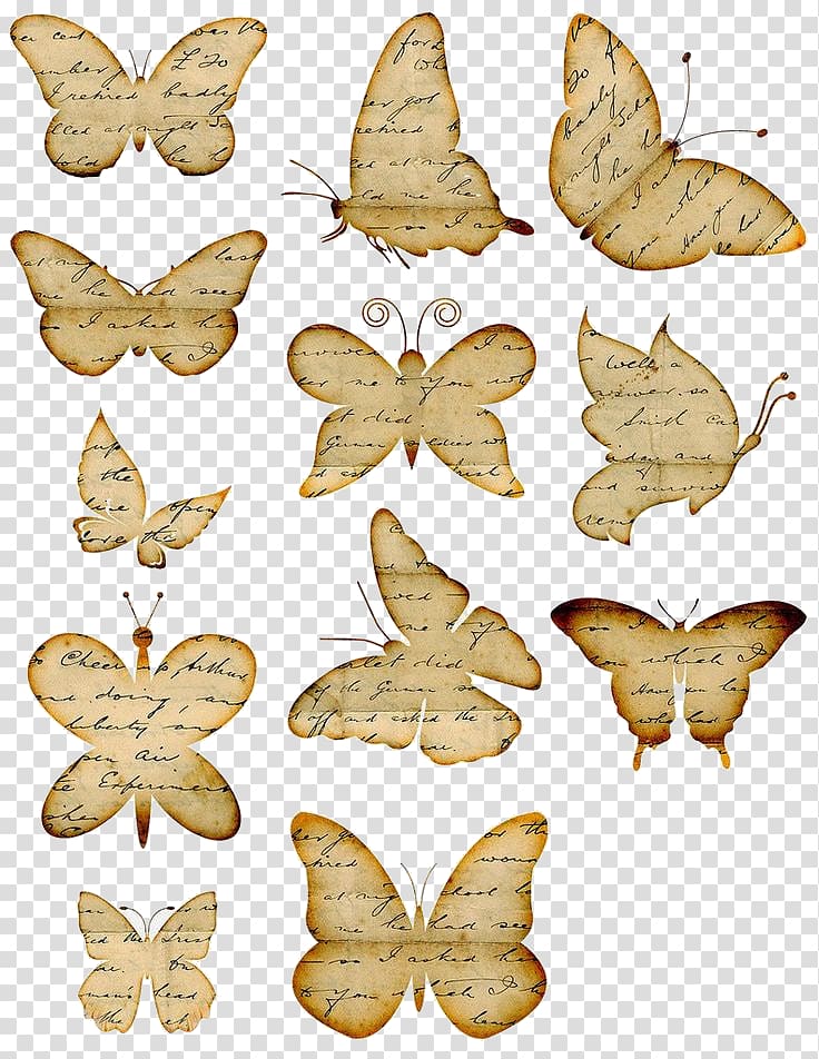 Butterfly Paper Printing , butterfly transparent background PNG clipart