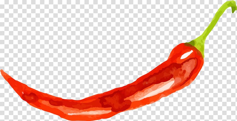 red chili, Tabasco pepper Cayenne pepper Chile de xe1rbol Chili pepper, painted pepper transparent background PNG clipart