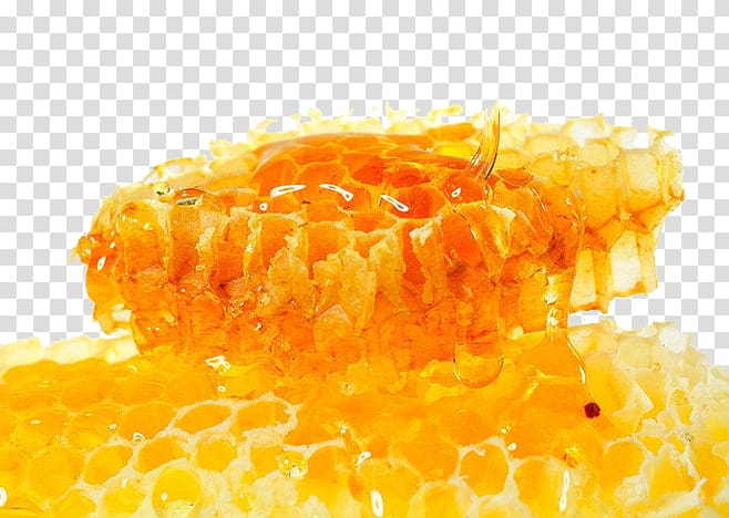 Honey bee Honeycomb Food, Honey nest transparent background PNG clipart