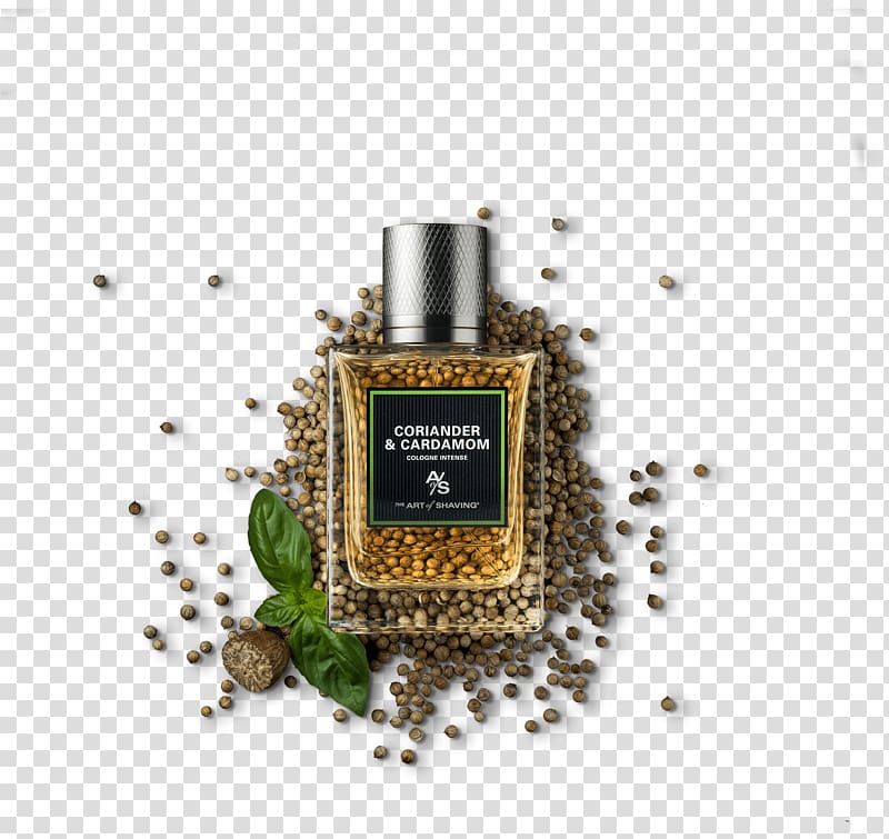 Perfume Black cardamom Coriander Herb, perfume transparent background PNG clipart