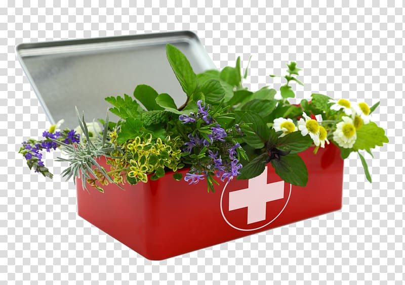Herbal first aid kit Herbalism First Aid Kits First Aid Supplies, herbs transparent background PNG clipart