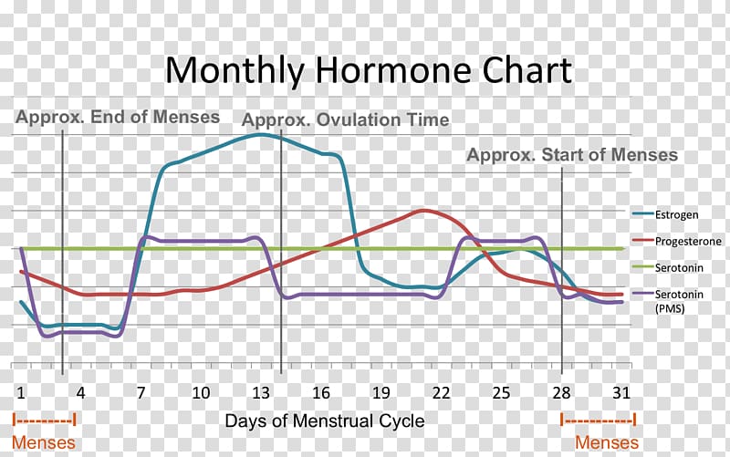 Menses Hormone Chart