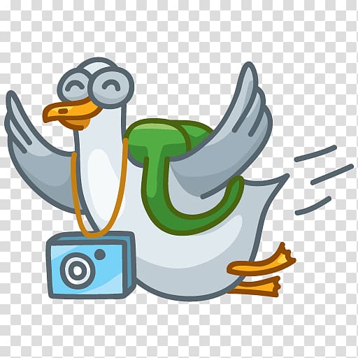 Telegram Sticker VKontakte Clinic Seagull, seagull transparent background PNG clipart