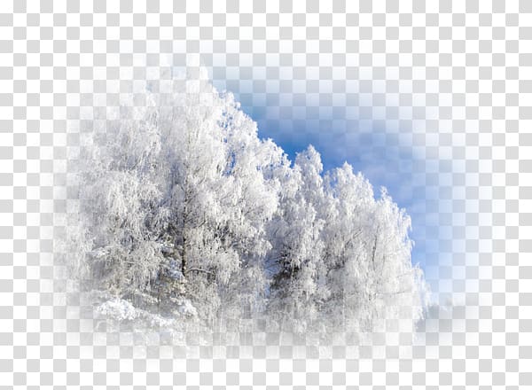 Winter Snow Advertising resolution, winter transparent background PNG clipart