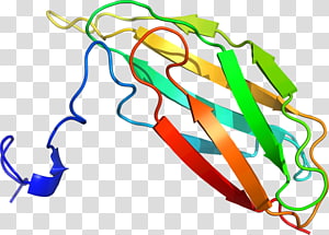 Line Point , line transparent background PNG clipart thumbnail