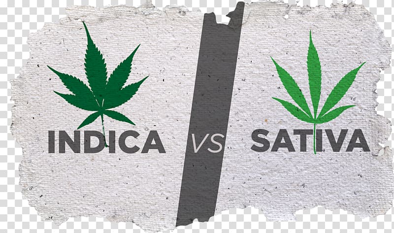 Cannabis sativa Kush White Widow Medical cannabis, hemp vs marijuana transparent background PNG clipart