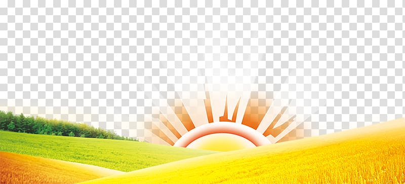Energy Sunlight Yellow, Golden wheat field transparent background PNG clipart