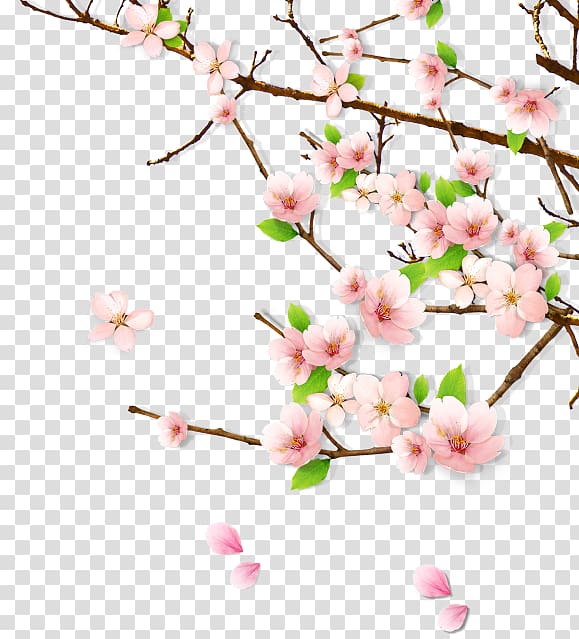 Peach blossom , Peach Blossom Spring transparent background PNG clipart